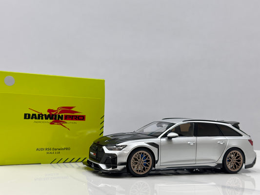KILO Works 1/18 Audi Darwin RS6 Foil Silver KW022