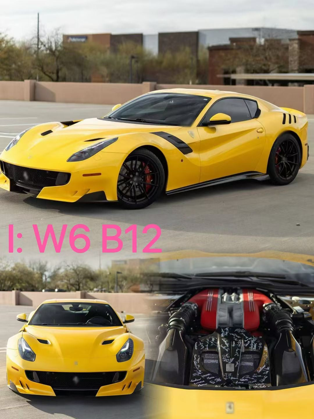 Dino Model 1/18 Ferrari F12 TDF Resin Fully Open Limited Edition Model Car