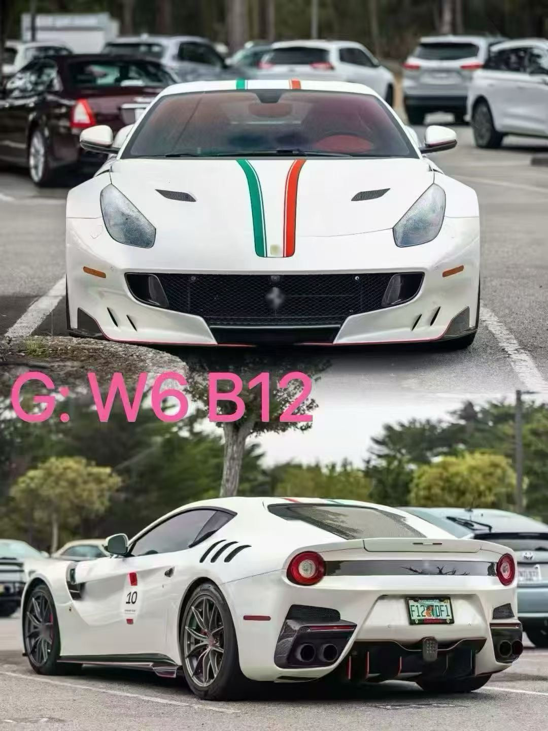 Dino Model 1/18 Ferrari F12 TDF Resin Fully Open Limited Edition Model Car