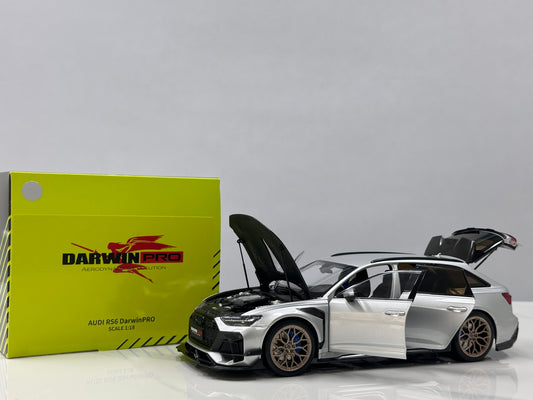 KILO Works 1/18 Audi Darwin RS6 Foil Silver KW022